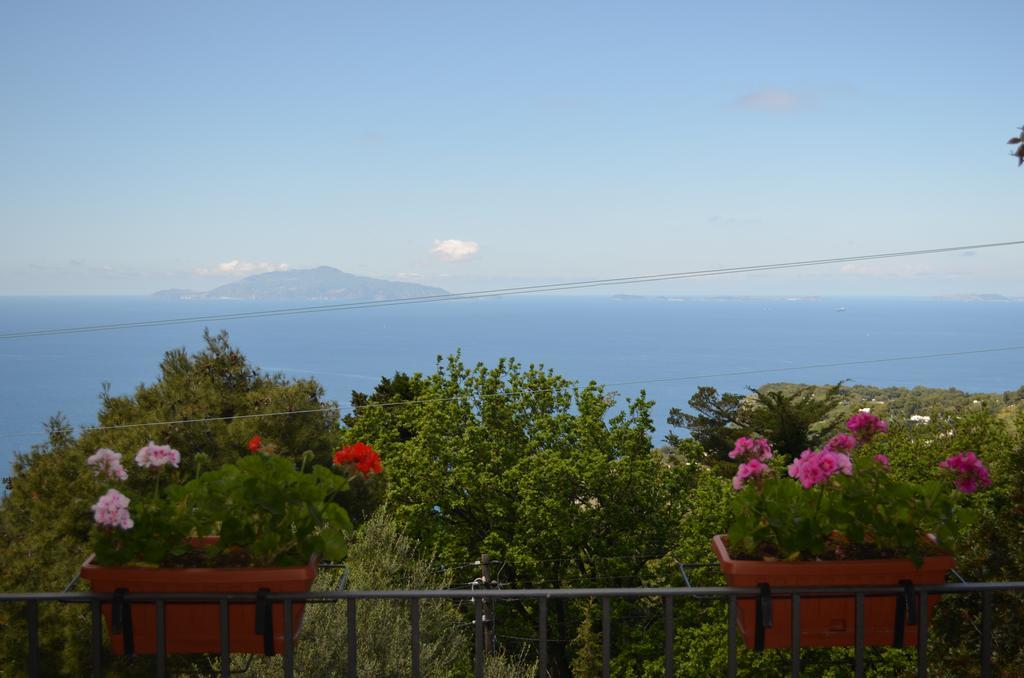 Le Ginestre Di Capri Bb & Holiday House Anacapri  Exterior foto